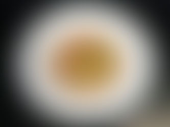 Die Maronensuppe ist mit Pilzen und gebratener Chrorizo-Wurst angerichtet.i