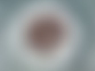 Rote Bete, ausgestanzt in Stern-Form, mit Granatapfelkernen und Schoko-Splittern.-