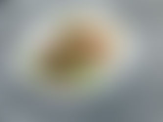 Eine Porzellanplatte, auf der weiße Spargel angherichtet sind, die mit Himbeervinaigrette besprenkelt sind.