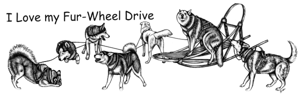 Sled dog racing10.gif