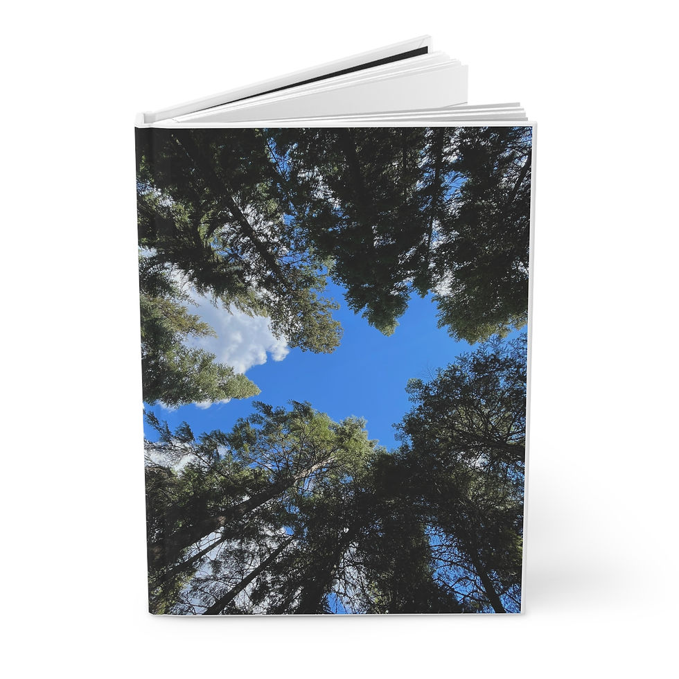 Thumbnail: Hardcover Journal - Evergreen Canopy View - Original Photo 