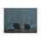 Thumbnail: Canvas Print, Original Mystical Picture of Bison in Yellowstone, 