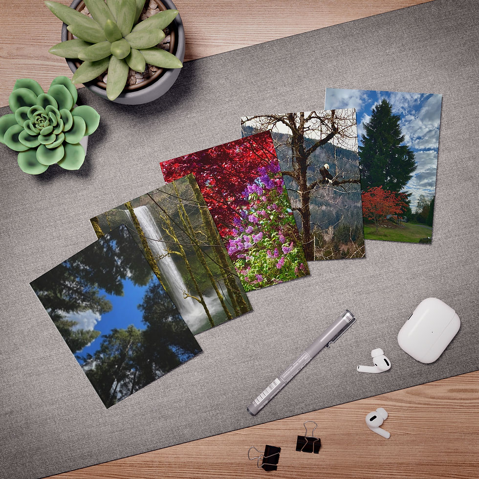 Thumbnail: Greeting Cards, Nature Inspired Photography,   5-Pack, Blank Inside