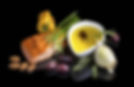 Salmon image