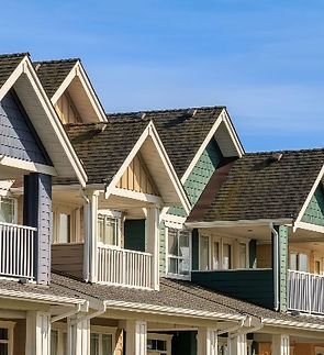 Professional Roofing Service