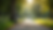 Eye-level view of a bicycle leaning against a tree on a quiet path