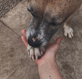 imgi_9_angebot-medical (3)_edited_edited.jpg