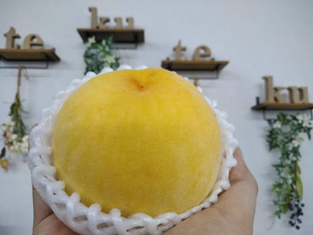 なぜスピッツの「桃」はすごい曲なのか～スピッツ歌詞解釈～