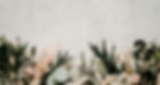 annie-spratt-_XdU9Q5iFRE-unsplash_edited.jpg
