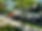 IMG_4538.jpeg