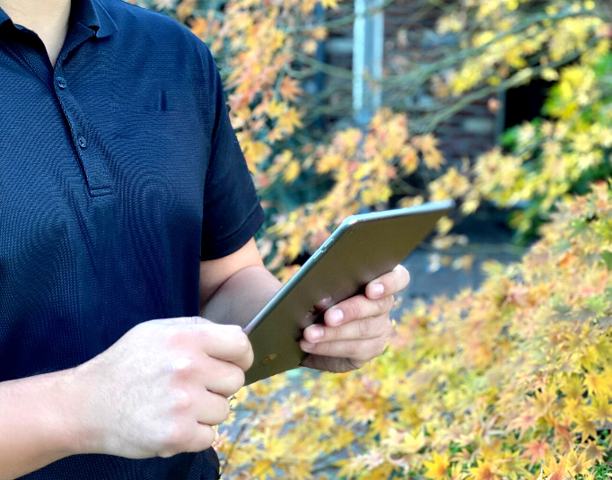 Arborist Consultation