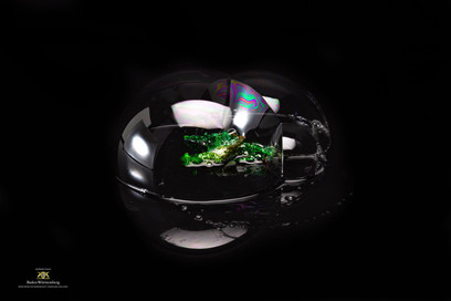 David F. Schulz - Contemporary art - Soilsealing