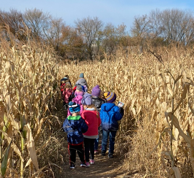 Kids wearing hats and mittens while walking through the Fresh Acres corn maze in Monticello, Minnesota