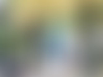 【活動報告】日比谷公園で秋色スナップと銀座ストリートスナップの会