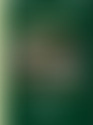 Parution récente : la mise à jour 2018 de la Monographie des Faisans