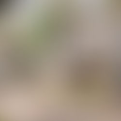 A comprehensive design solution...