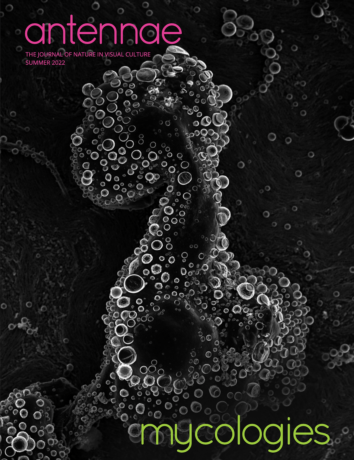 58 cover.webp
