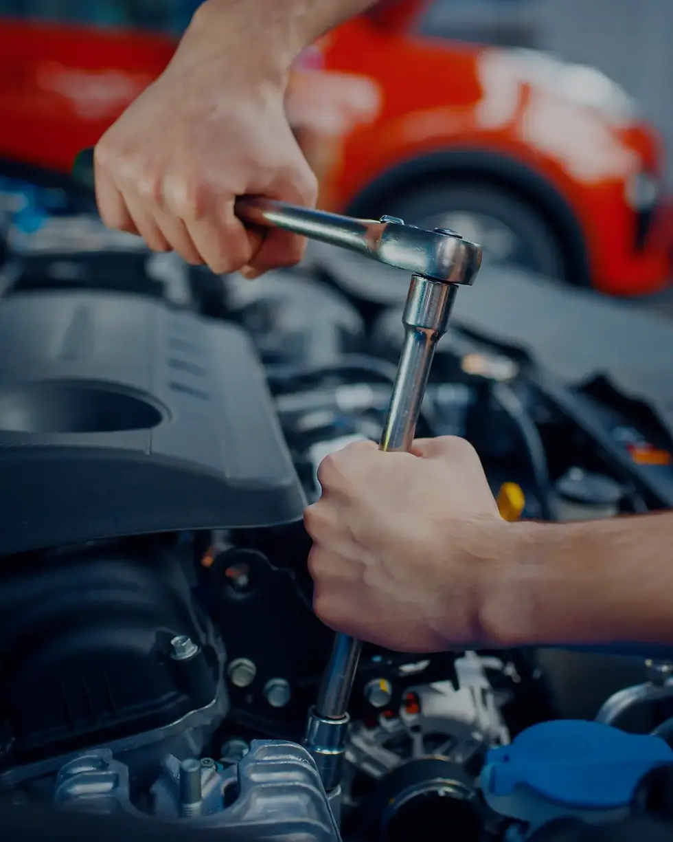 Wartung & Reparatur in Heidenau