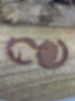 horse head