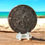 Thumbnail: Engraved octopus on British crown coin with starfish border, displayed upright on beach wood.
