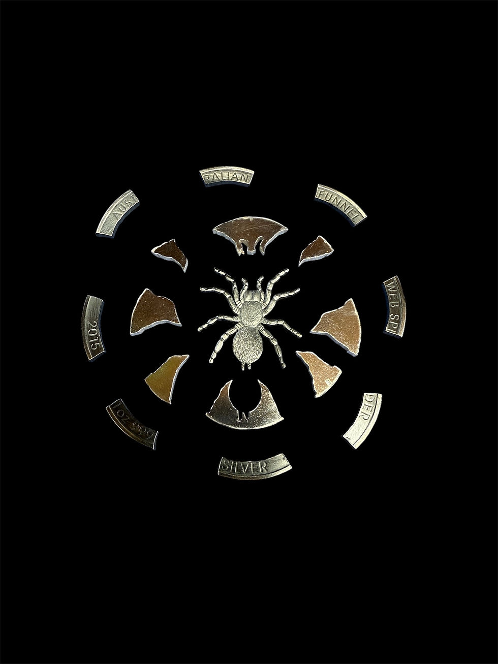 “Hand-cut silver spider coin exploded layout”