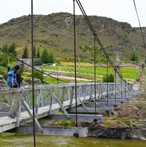 Shaky-Bridge-Alexandra-Feature-Mandatory-Credit-NZPocketGuide.com_.webp