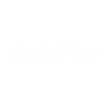 Polaris white logo