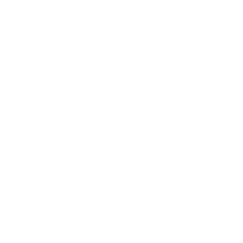 CanadaOne Auto Group logo – Canadian automotive dealership partner
