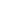 Nissan white logo