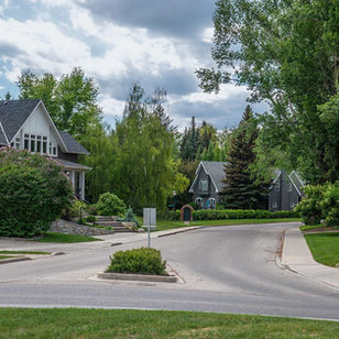 Curved road in Elbow Park, Calgary in summer with character homes, and large willow trees.