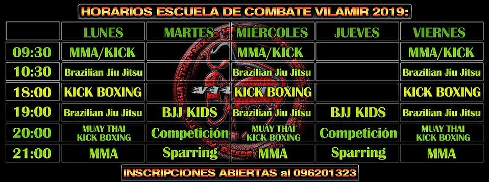 PORTADA HORARIOS VILAMIR 2019.jpg
