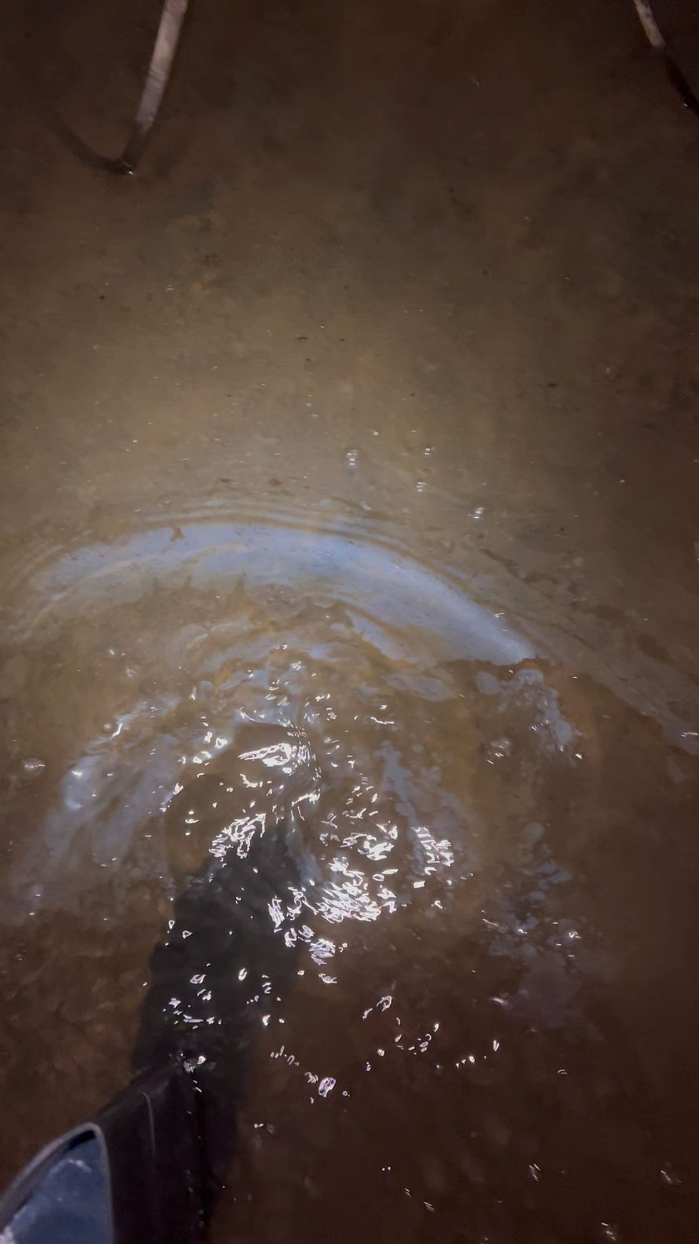 Why Are Hudson Valley Basements So Often Damp?