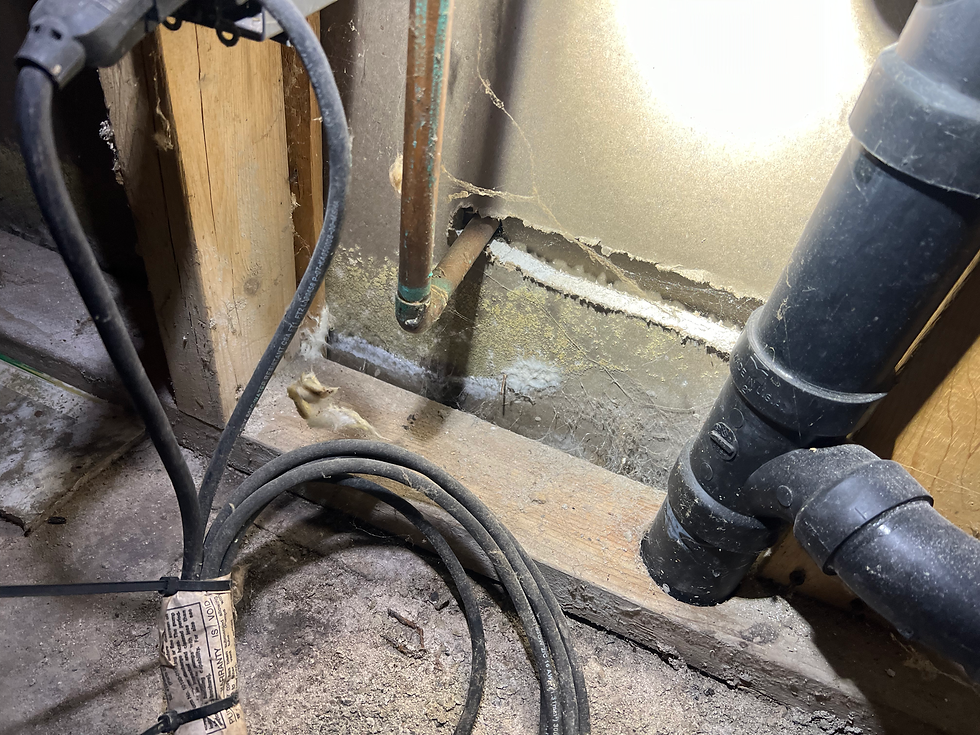 Hidden Water Damage Behind Basement Wall