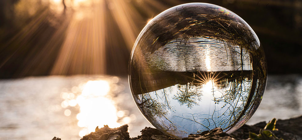 The landscape reflected in a bubble of water