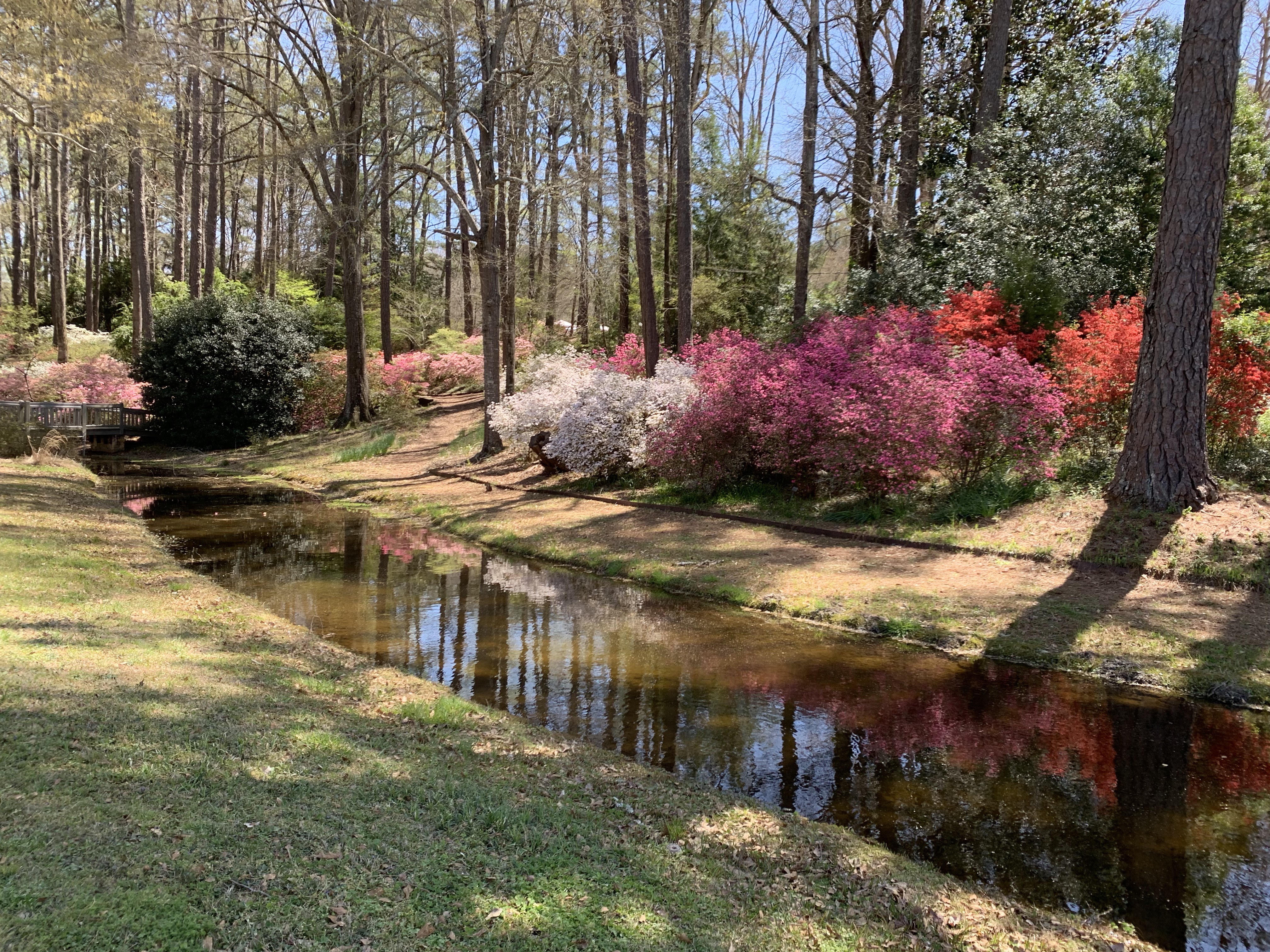 Beautiful Callaway Gardens Atdwellings