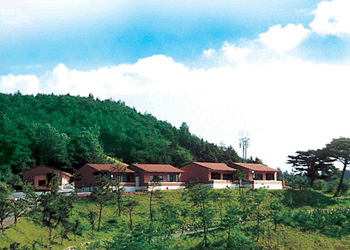 전경