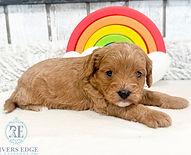 fullsizeoutput_1597_edited.jpg