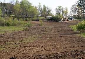 Fresno Forestry-39.jpg