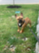 image1.jpeg