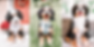 Bernedoodle Puppies.png