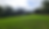 Thumbnail: Late Season Blend (Heavy Browse Tolerant) - WHD Seeds