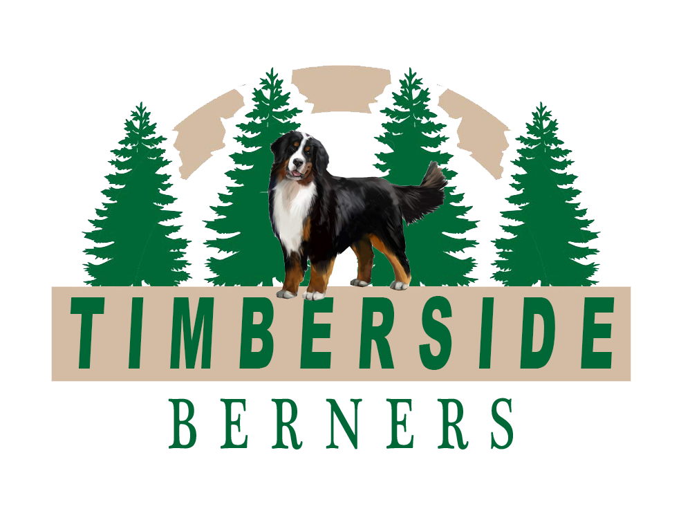 Timberside Berners logo