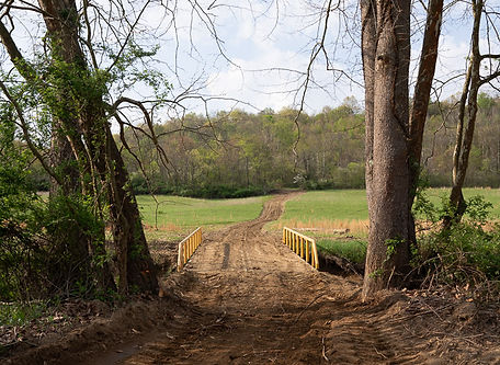 Fresno Forestry-44.jpg