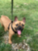 image5.jpeg