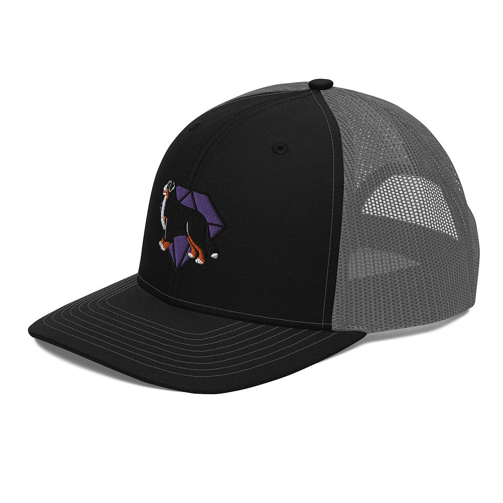 Thumbnail: Diamond Trucker Cap