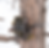 Thumbnail: Trail Camera Conceal Package