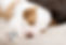 Adora Perfect Pups-2.jpg