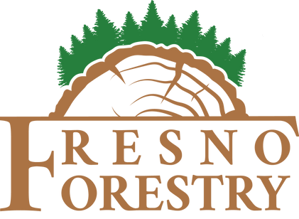 fresno1.png