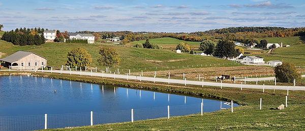 Farm At Walnut Creek