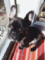 image3.jpeg